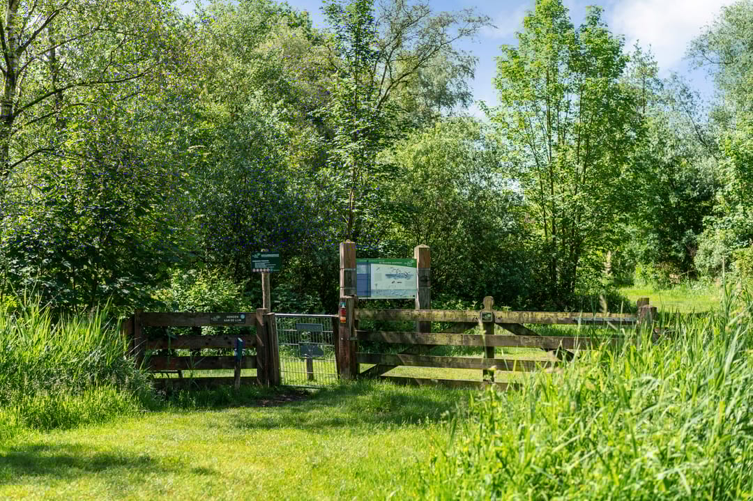 Foto 31 van Koaidyk 6-665