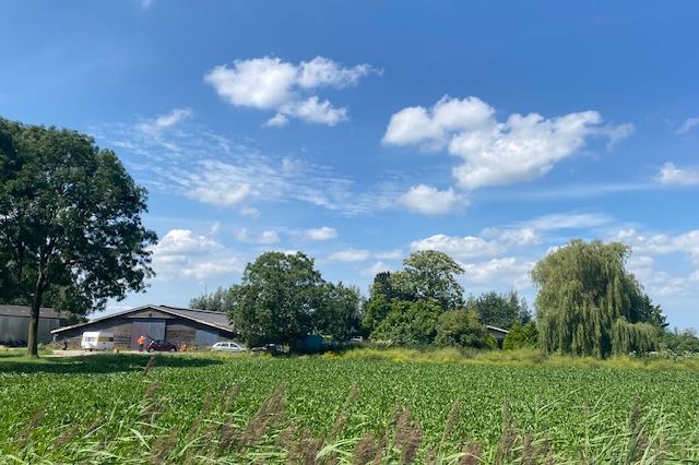 Bekijk foto 1 van Sternweg 22