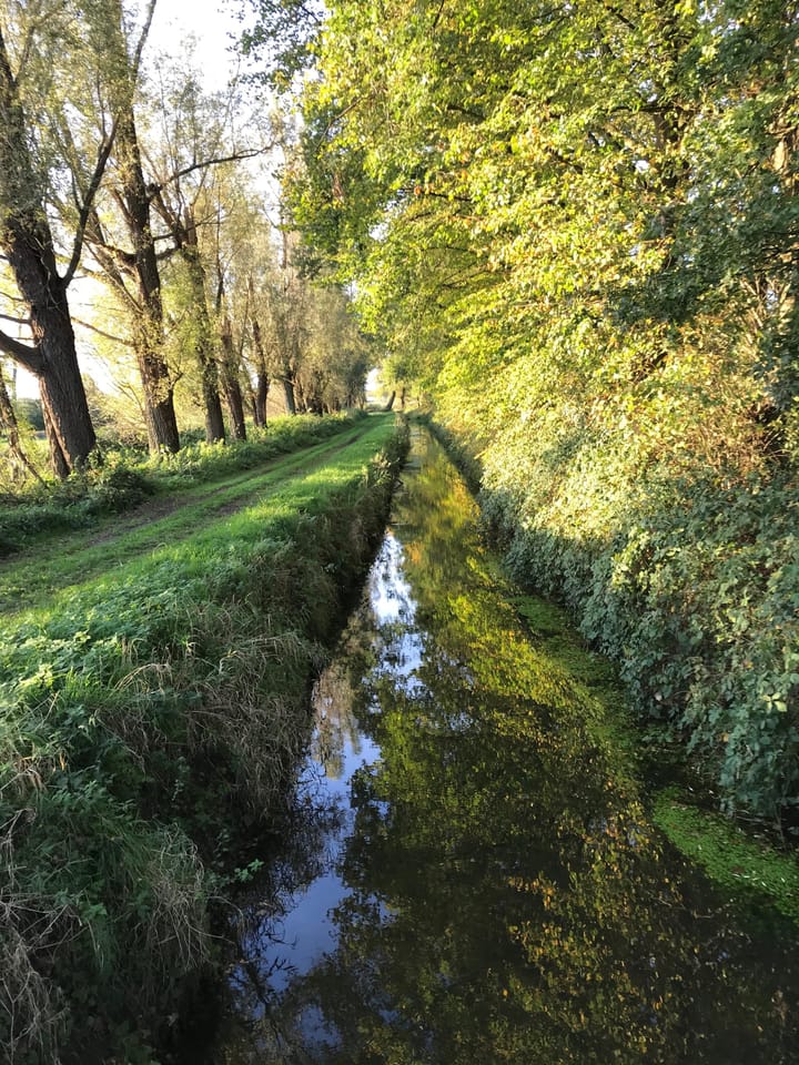 Foto 9 van De Eekhof 2