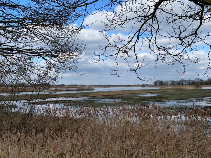 Foto 10 van De Eekhof 2