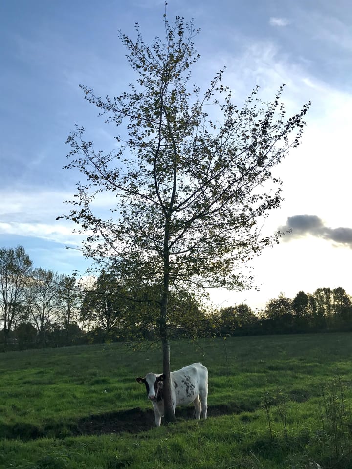 Foto 11 van De Eekhof 2