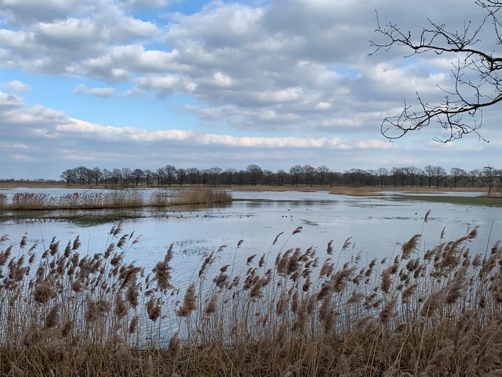 Foto 17 van De Eekhof 2