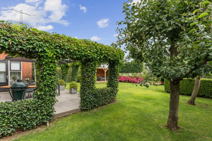 Foto 49 van Ooievaar 7