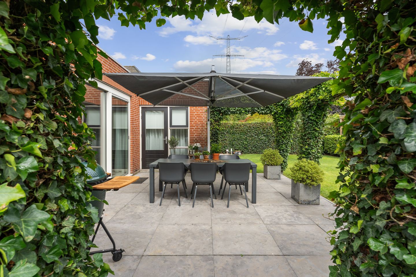 Foto 50 van Ooievaar 7