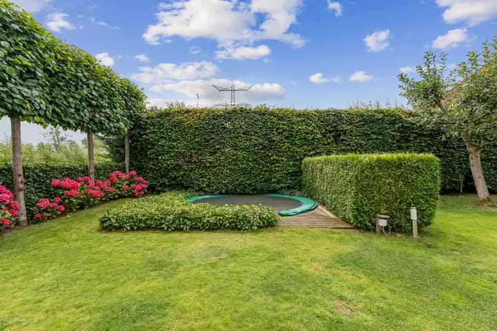 Foto 53 van Ooievaar 7