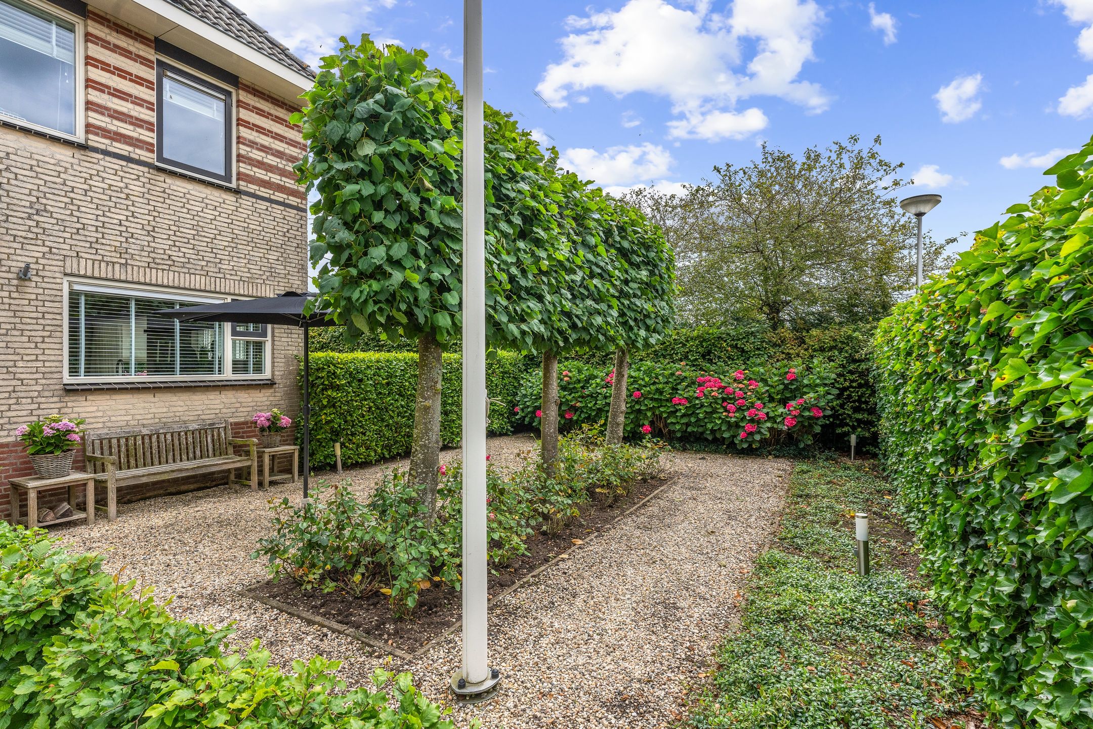 Foto 63 van Ooievaar 7