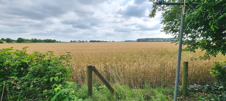 Foto 2 van Molenstraat 71