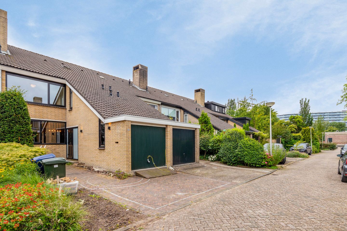 Foto 1 van Veld-iep 11