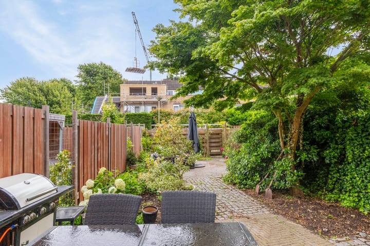 Foto 4 van Veld-iep 11