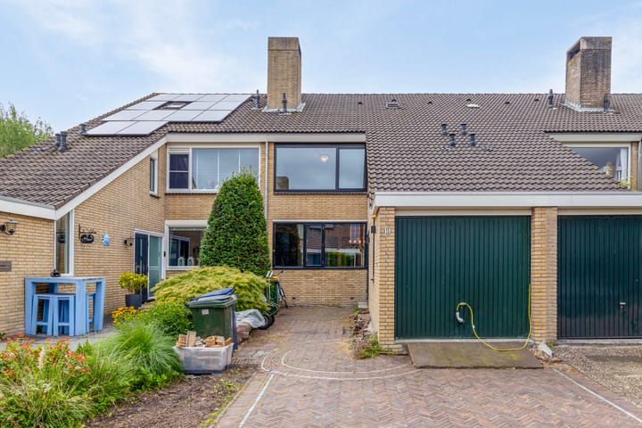 Foto 5 van Veld-iep 11