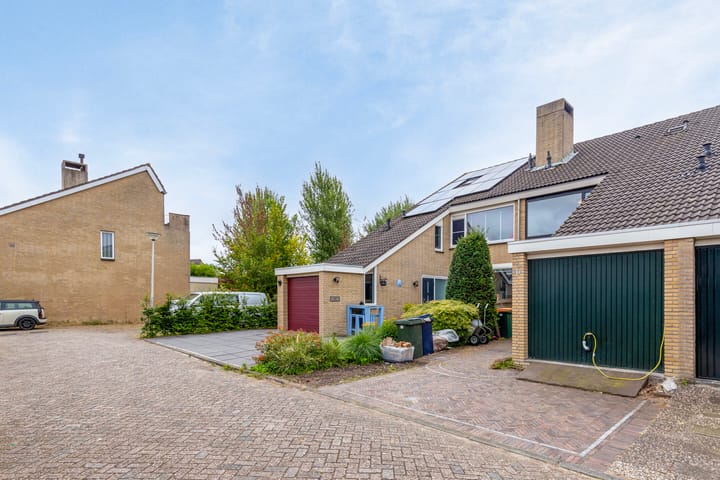 Foto 6 van Veld-iep 11