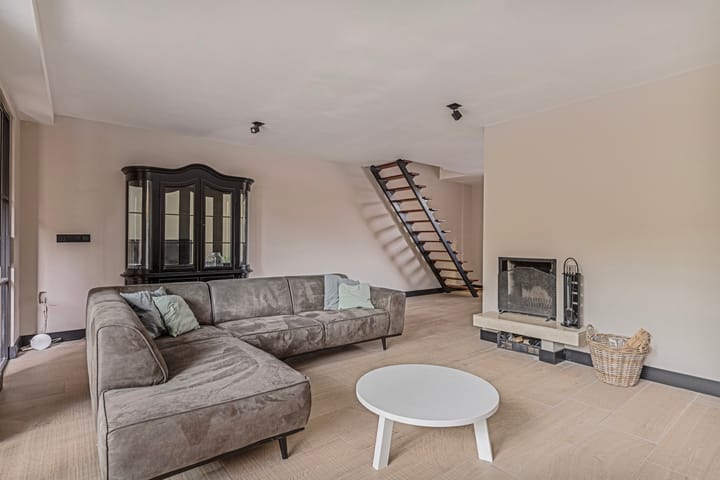 Foto 11 van Veld-iep 11