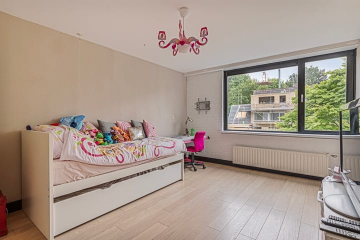 Foto 17 van Veld-iep 11