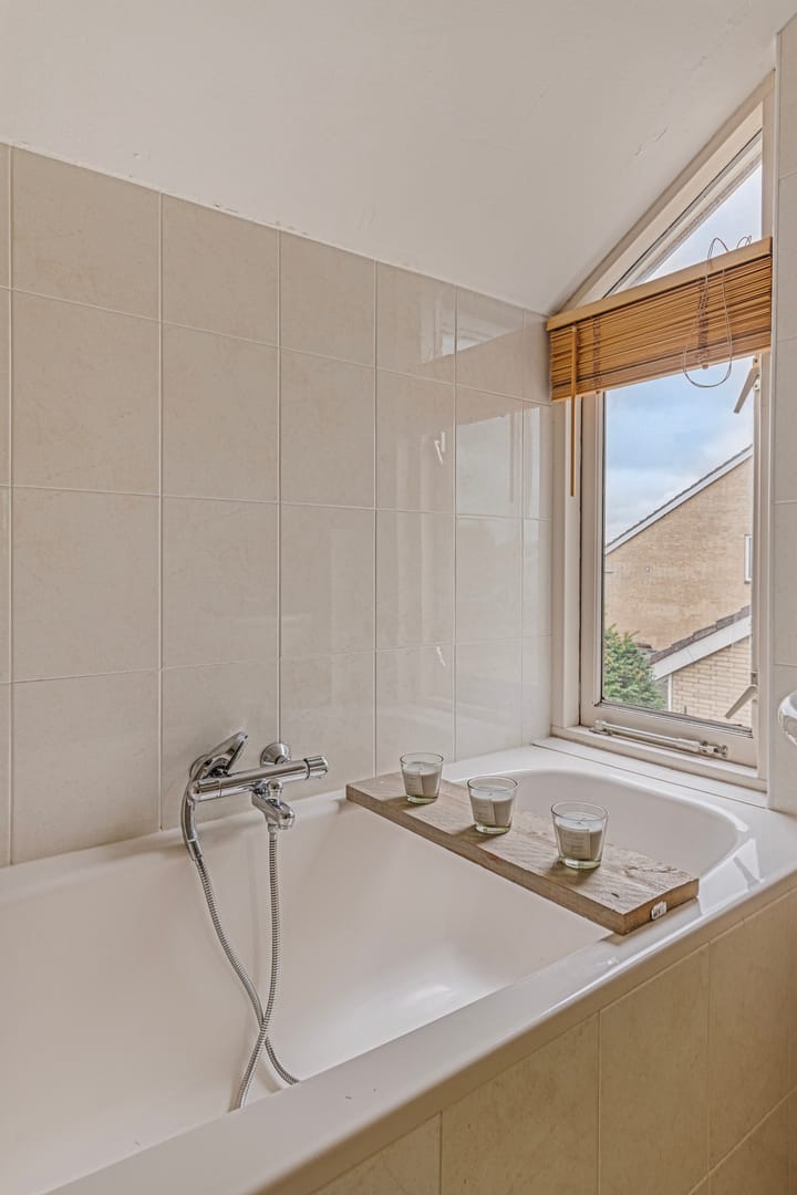 Foto 20 van Veld-iep 11