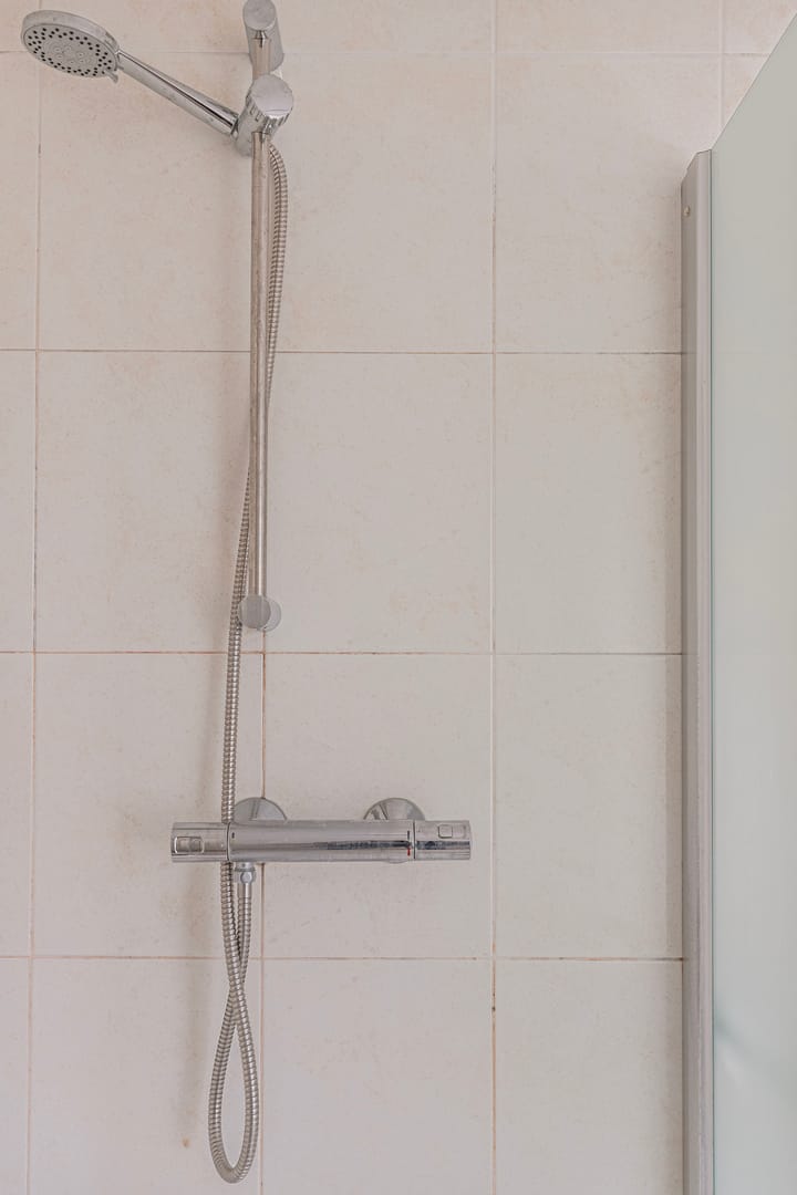 Foto 21 van Veld-iep 11