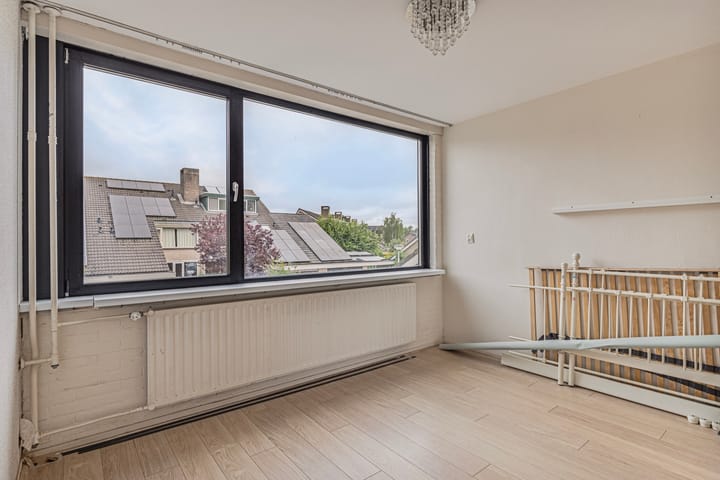 Foto 22 van Veld-iep 11