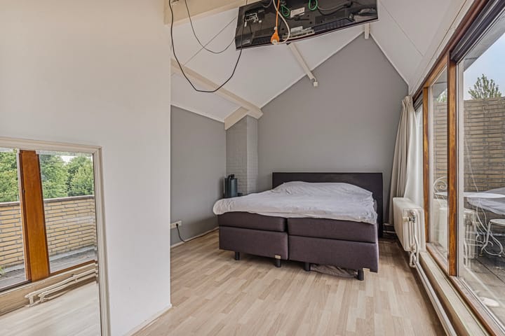 Foto 24 van Veld-iep 11