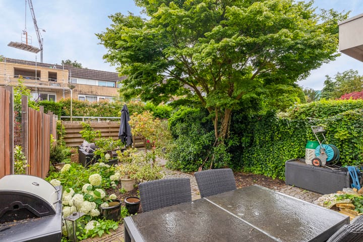 Foto 26 van Veld-iep 11