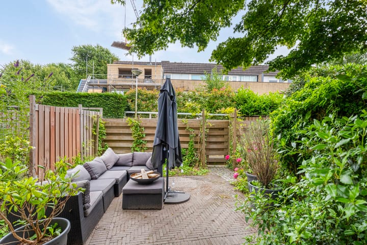 Foto 27 van Veld-iep 11