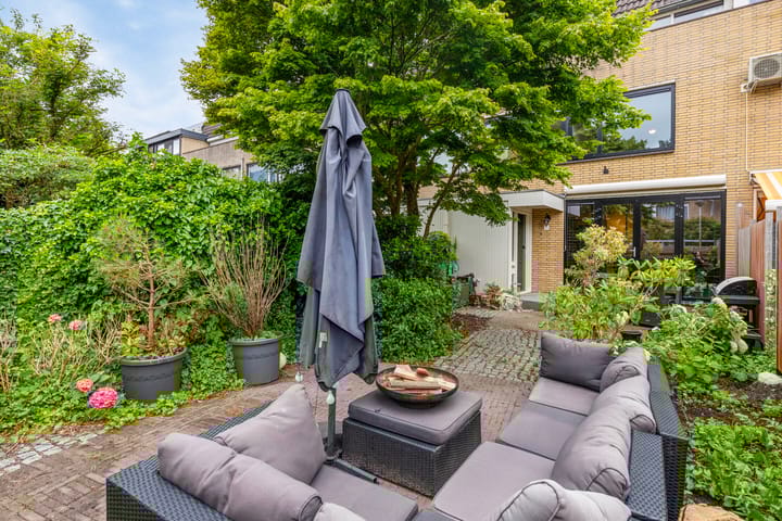 Foto 28 van Veld-iep 11