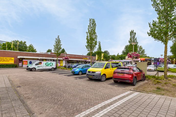 Foto 29 van Veld-iep 11