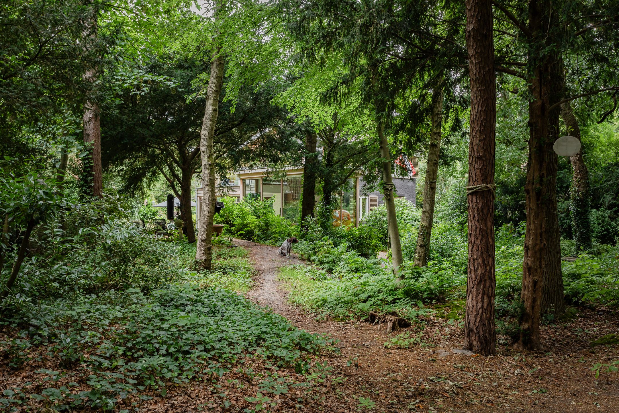 Photo 3 of Komlaan 5