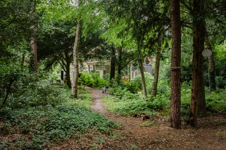 Komlaan 5 tertiary image