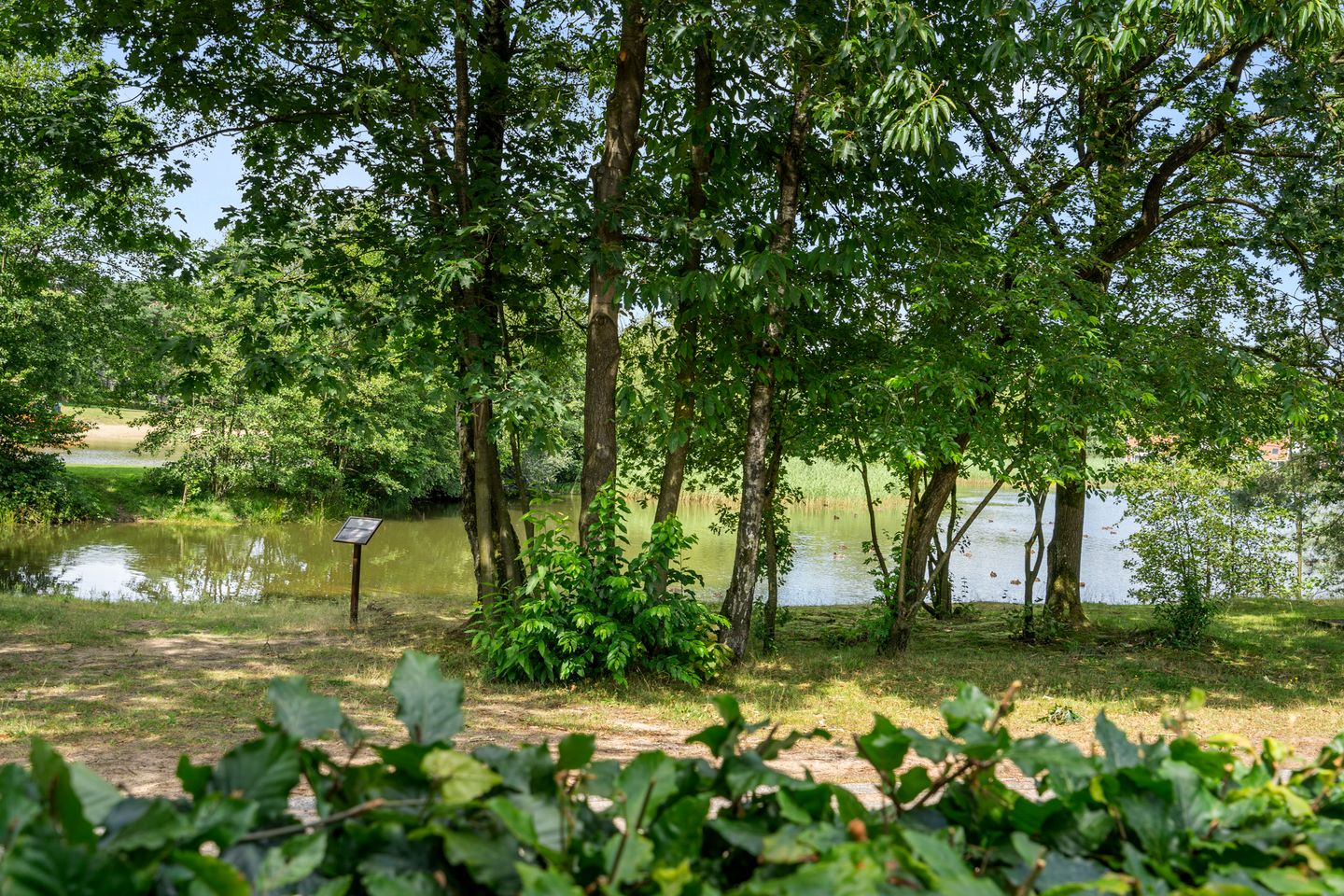 Foto 34 van Vijverlaan 1-JB29