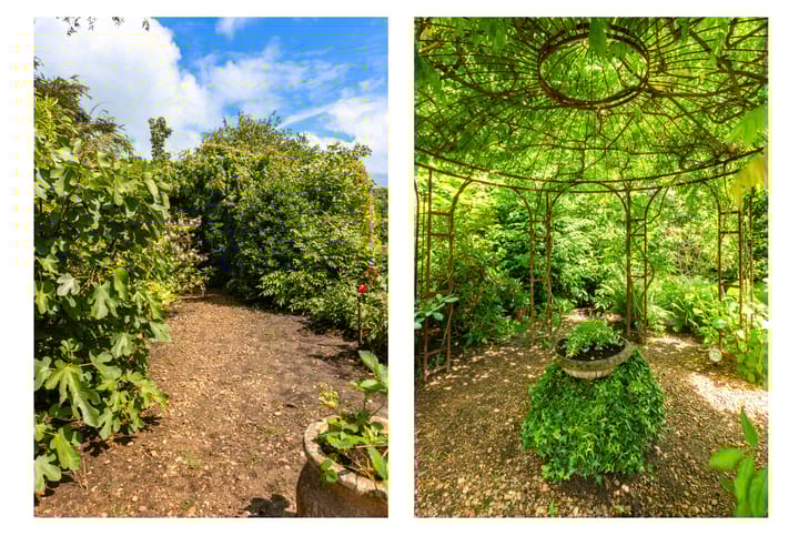 Foto 65 van Koningsdam 77