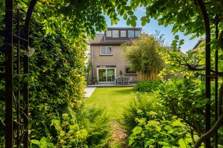 Foto 66 van Koningsdam 77