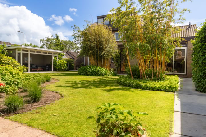 Foto 71 van Koningsdam 77