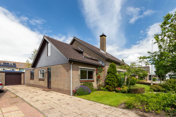 Foto 8 van Koningsdam 77