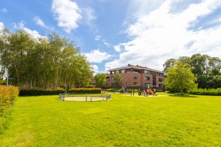 Foto 80 van Koningsdam 77