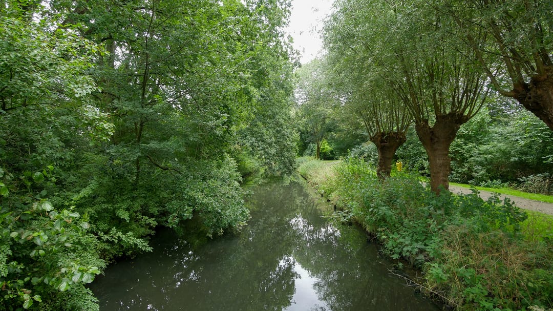 Foto 22 van Blijenburghsweer 7