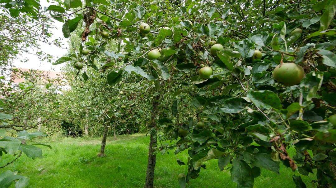 Foto 23 van Blijenburghsweer 7