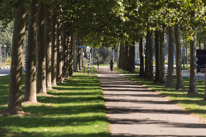 Bekijk foto 44 van St.-Pietersberg 35