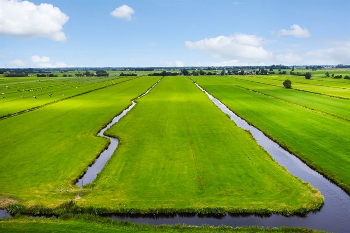 Bekijk foto 30 van Prunuslaan 7