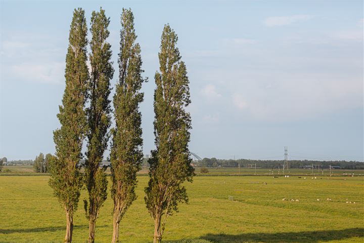 View photo 9 of 's-Gravelandseweg (Bouwnr. 5)