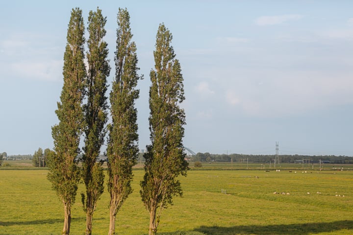 Bekijk foto 9 van 's-Gravelandseweg (Bouwnr. 6)