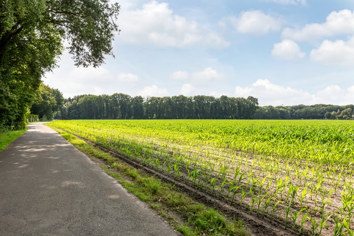 Bekijk foto 2 van Onder de Bos 221