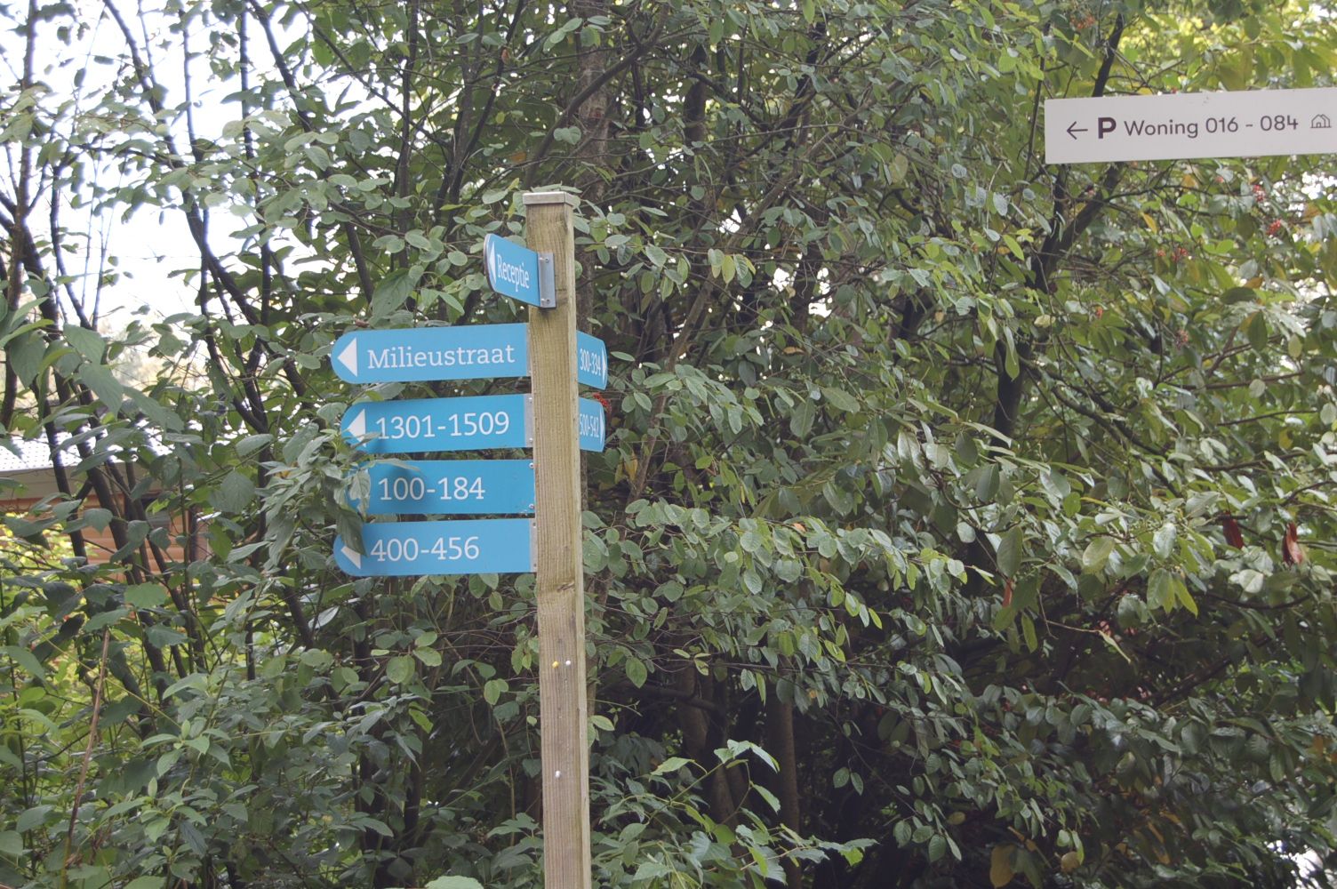 Foto 27 van Laan van Laag Kanje 1