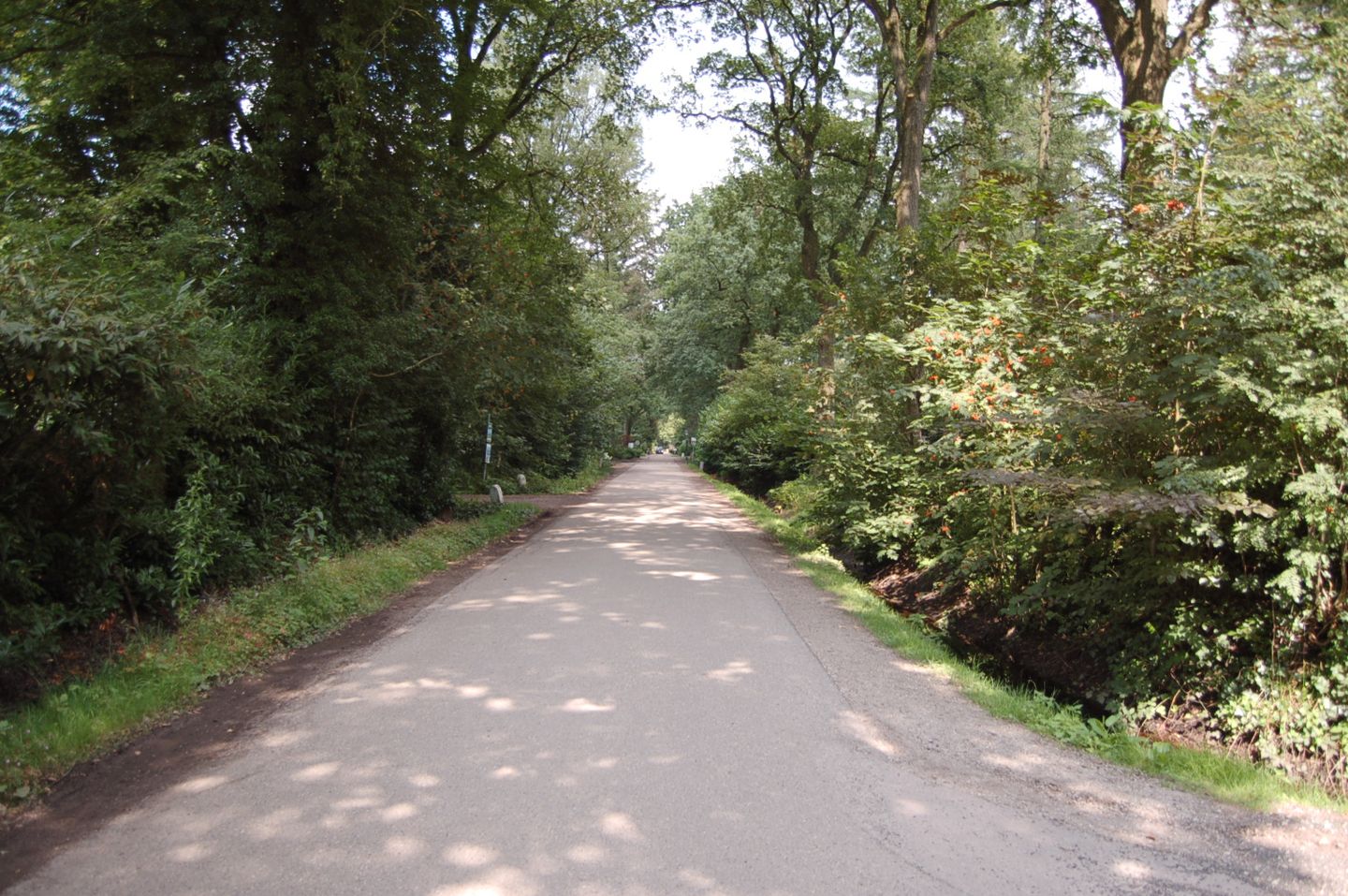 Foto 29 van Laan van Laag Kanje 1