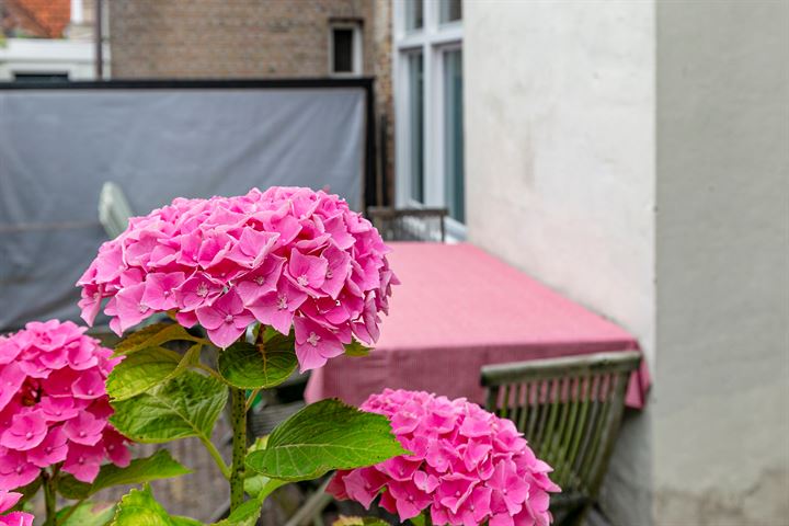 Bekijk foto 43 van Nieuwe Bogerdstraat 5