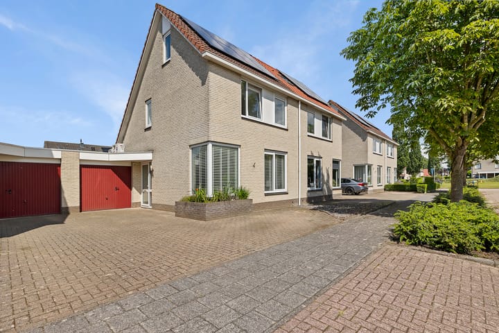 undefined main image