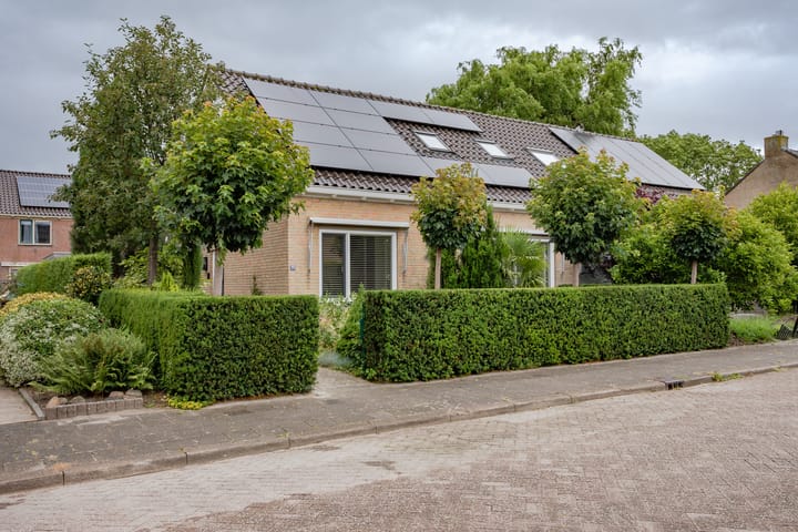 undefined main image