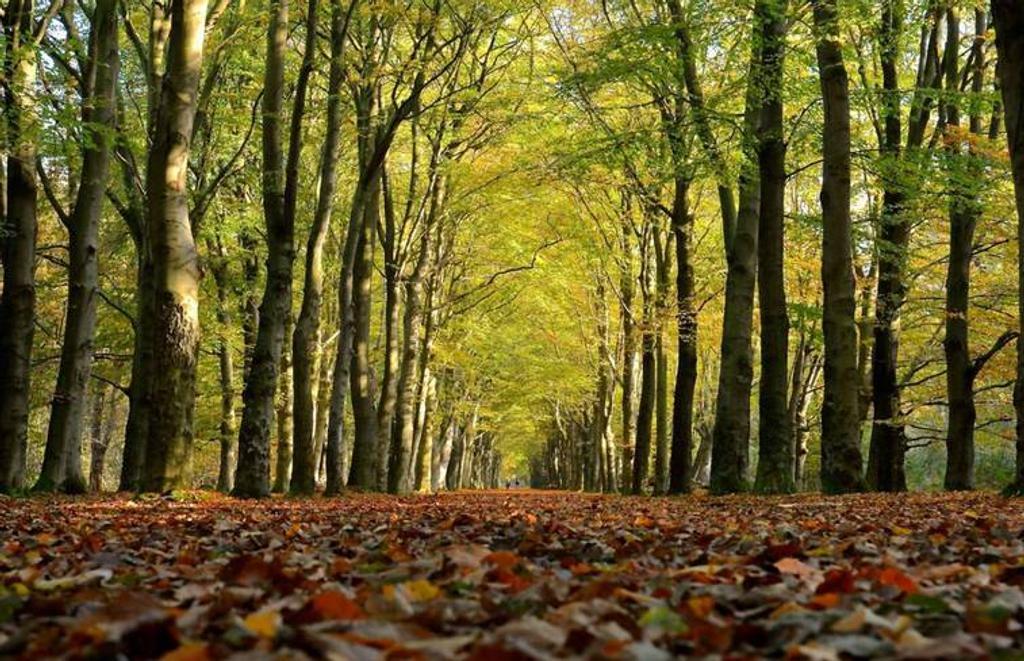 Foto 22 van Fonteinwei 12-31