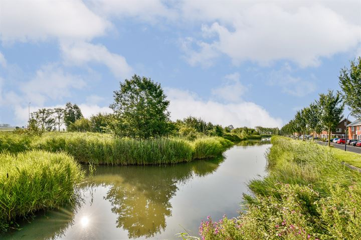 Bekijk foto 16 van Meerval 131