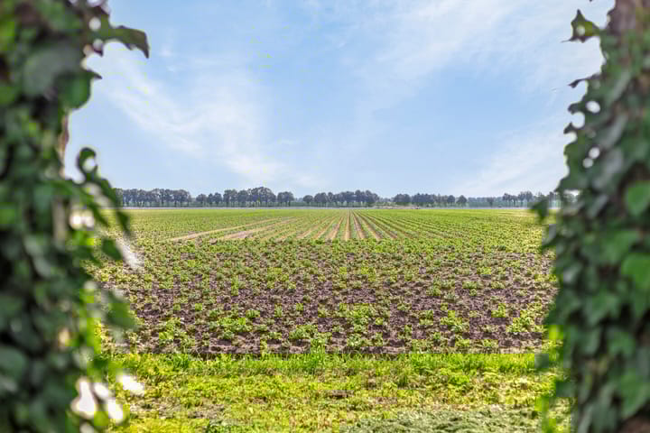 Foto 37 van Verlengde Oosterdiep OZ 15