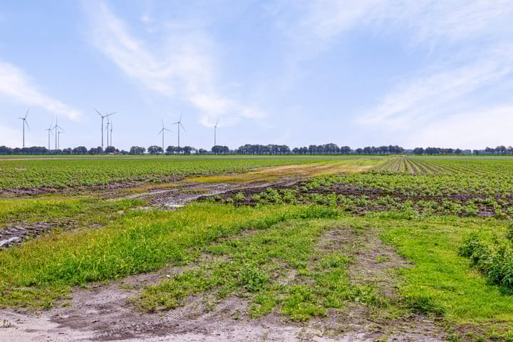 Foto 39 van Verlengde Oosterdiep OZ 15