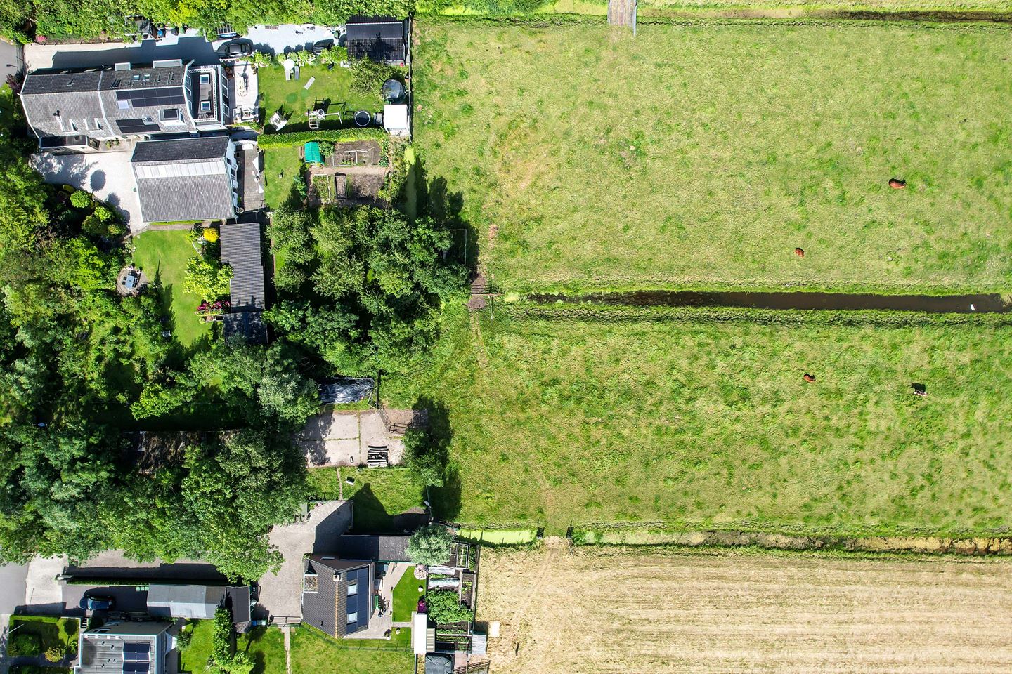 Bekijk foto 4 van Vlietweg